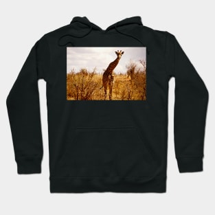 giraffe Hoodie